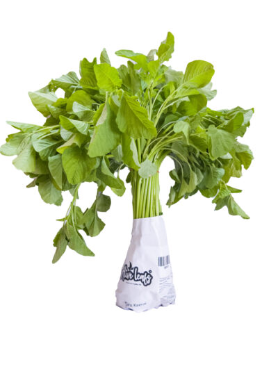Amaranthus Green Dist